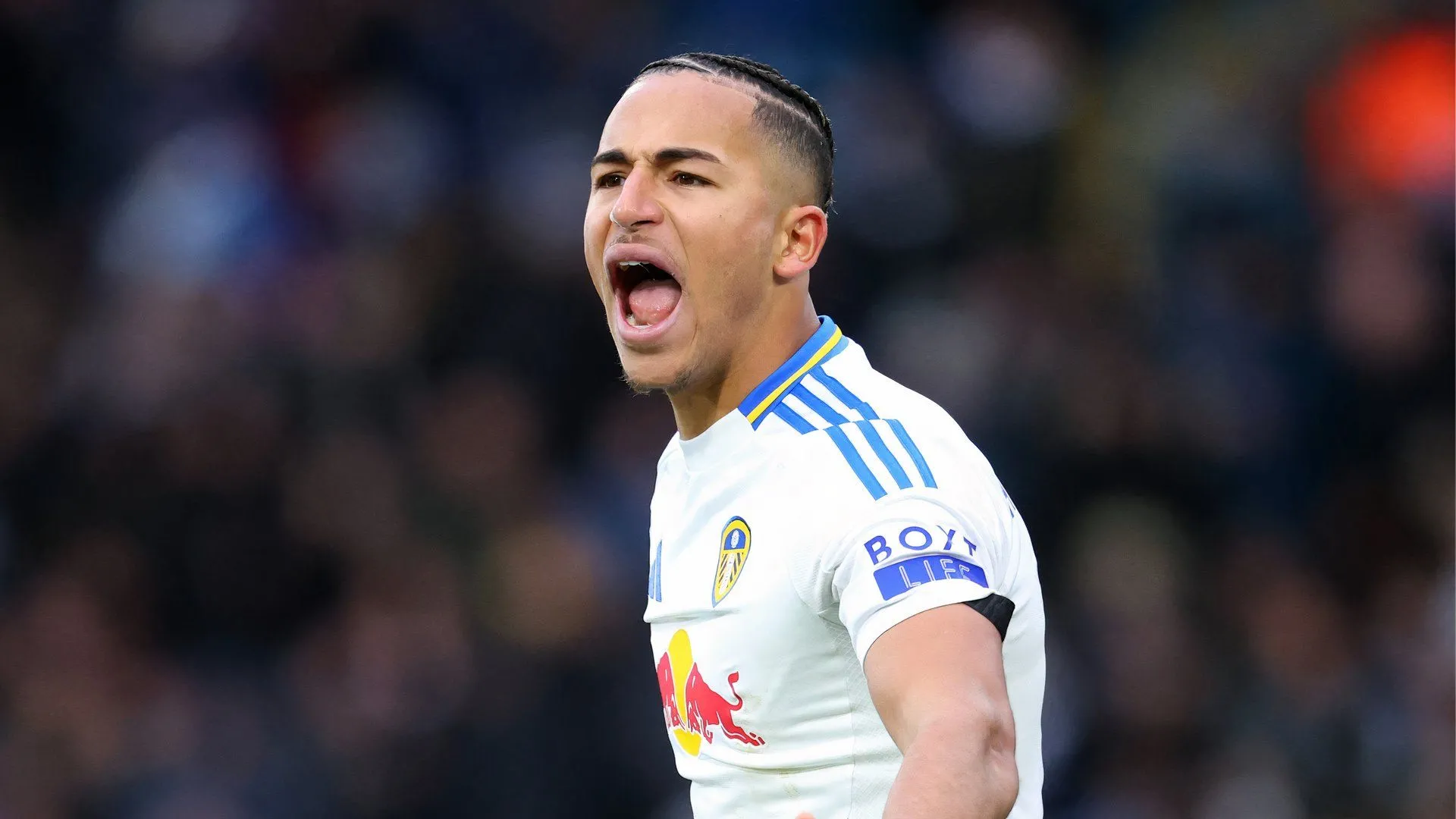 Mateo Joseph trong màu áo Leeds United, tiền đạo trẻ đang được Real Betis quan tâm sau khi Leeds thăng hạng Premier League.