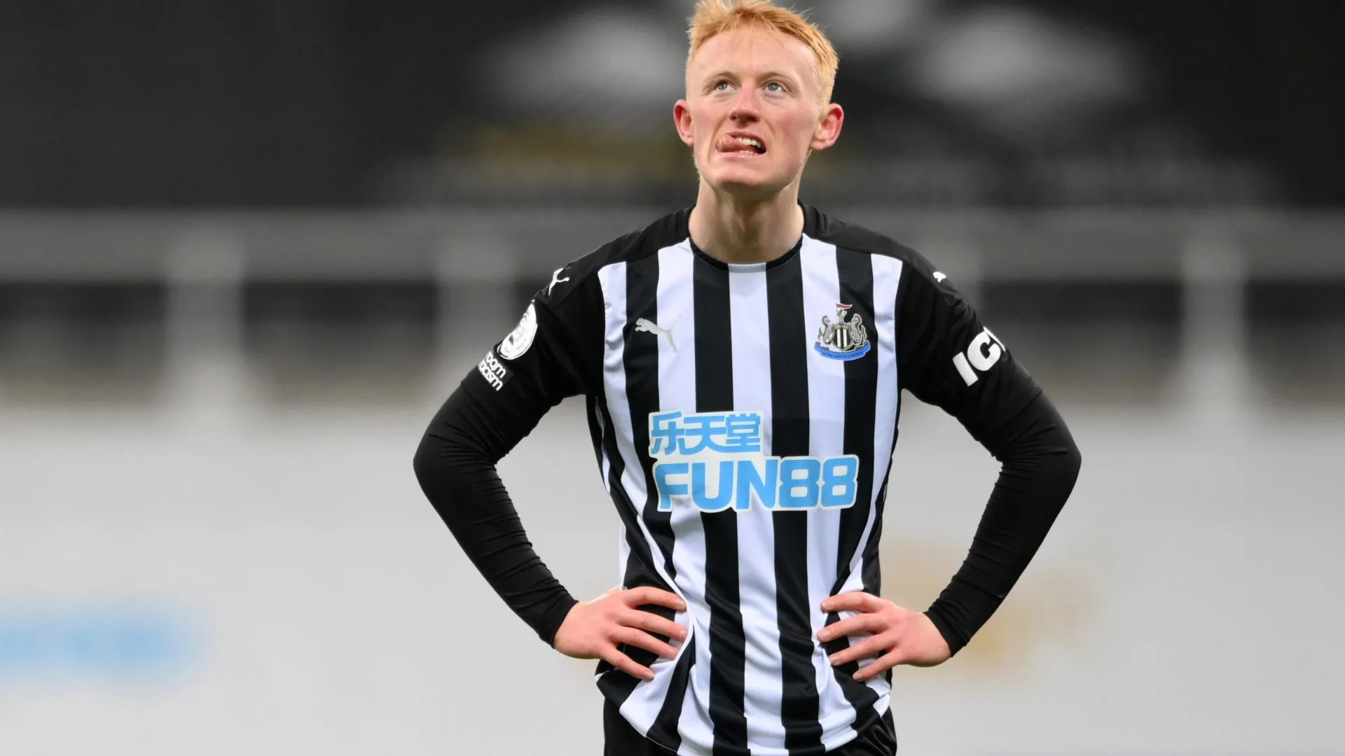 Sean Longstaff ăn mừng bàn thắng trong màu áo Newcastle United tại giải Ngoại hạng Anh