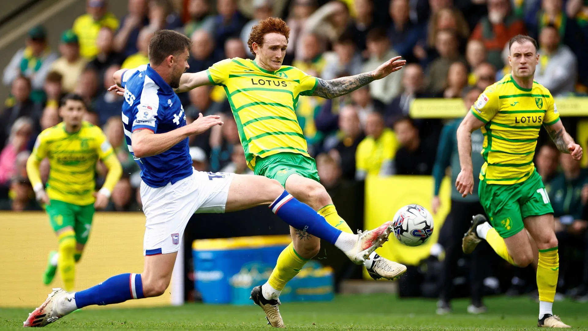 Josh Sargent, ngôi sao của Norwich City, đang thể hiện phong độ ấn tượng
